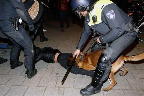 Dutch police hunt, violently disperse Turkish protesters with K-9 dogs - Daily Sabah