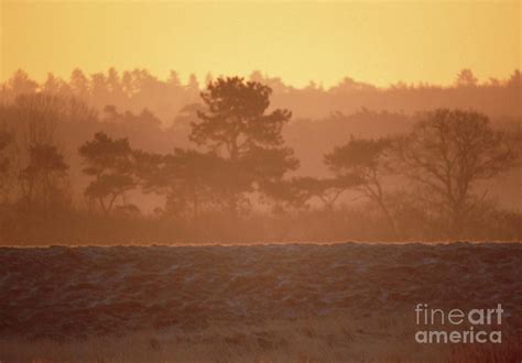 Countryside In Winter. Photograph by Malkolm Warrington/science Photo Library | Fine Art America