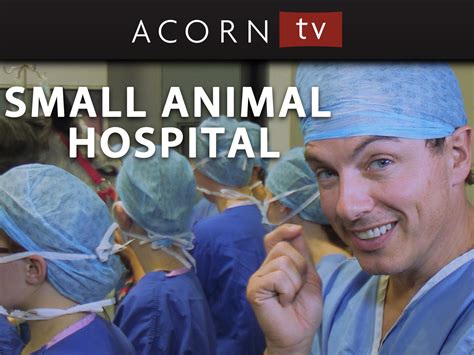 Prime Video: Small Animal Hospital