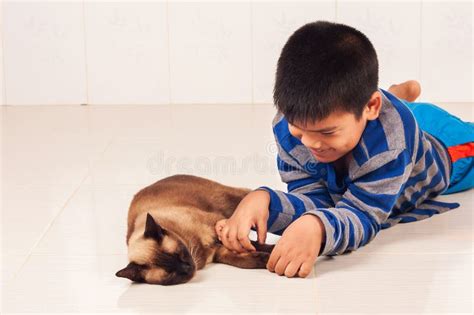 Boy play with brown cat stock image. Image of adorable - 61256145