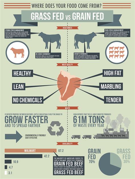 Grass Fed vs. Grain Fed Infographic on Behance