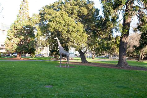 Photos of San Mateo Central Park and Teas the Season