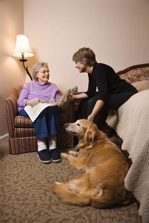 The Benefits of Therapy Animals for Seniors | ASC Blog