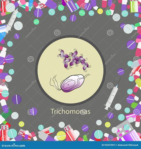 Trichomonas Hominis- Parasitic Microscope Stock Illustration ...