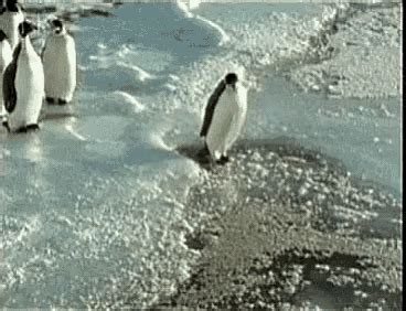 Penguin Walk GIF - Penguin Walk Draw - Discover & Share GIFs