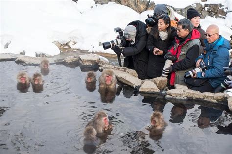 Private Nagano Tour: Zenkoji Temple, Obuse, Jigokudani Park 2024