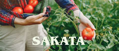 Contact Us - Sakata Home Grown