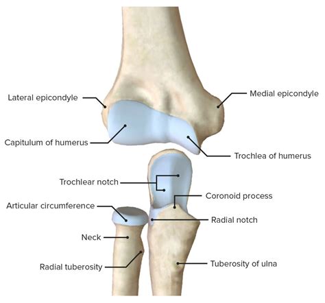 Elbow Dislocation Classification