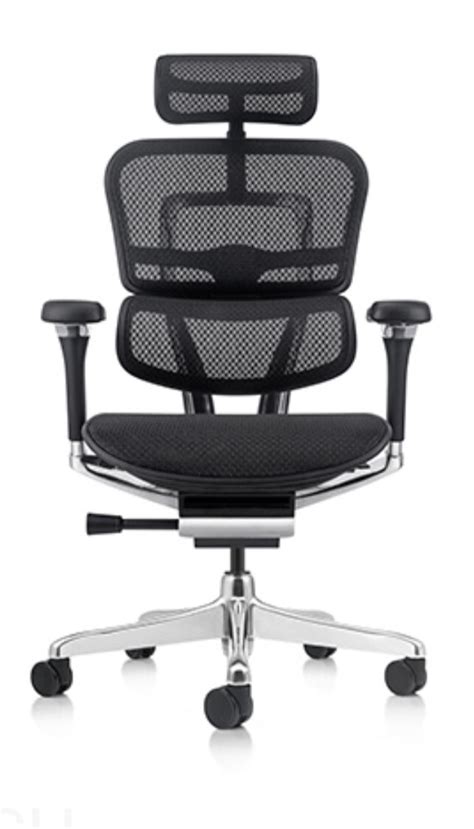 Ergohuman 2 Elite Mesh Chair