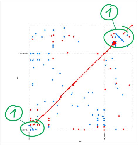 Whole genome alignment using NUCMER – EzBioCloud Help center