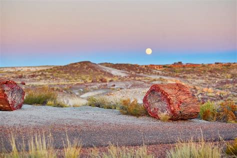 15 mejores cosas para hacer en Holbrook (AZ) - ️Todo sobre viajes ️