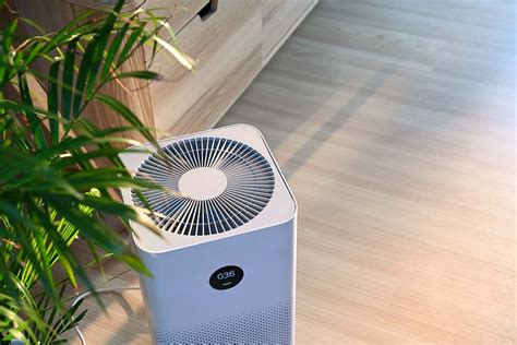 Can an Air Purifier for Dust Mites Help?