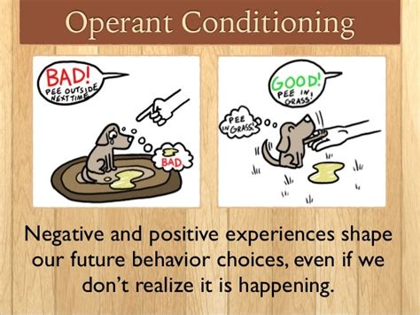 Operant Conditioning Part 1