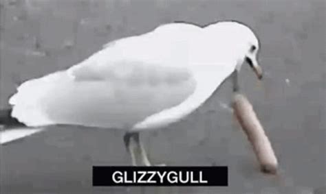 Glizzy Seagull GIF - Glizzy Seagull Ninja - Discover & Share GIFs