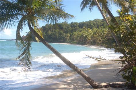 Batibou Beach, Dominica............Pirates of the Caribbean was filmed here.