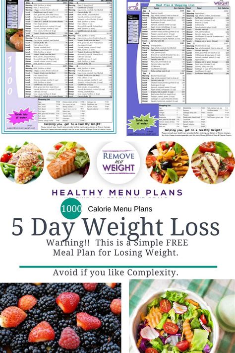 Download 5 Day Meal Plan To Lose Weight References - storyofnialam