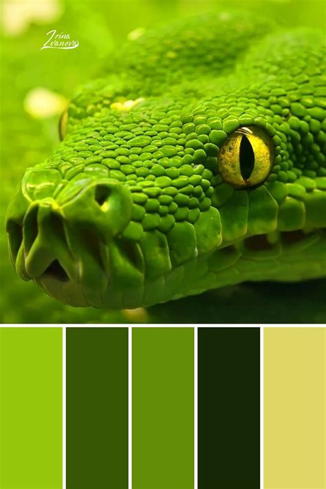 Color palette combinations schemes aesthetic colors palette earth tone ...