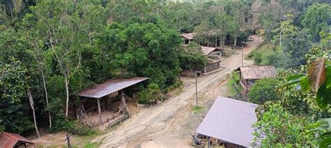 Kenyir Elephant Conservation Village (Kuala Berang) - 2022 All You Need to Know BEFORE You Go ...