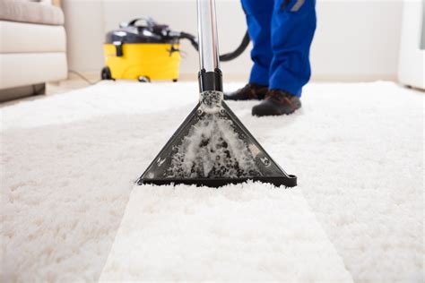 HappyCleans How to Remove Mold from Carpets | Best Cleaners in Norman, OK