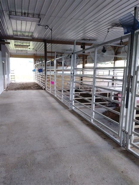 Cook Show Cattle barn set up www.cookshowcattle.com | Cattle barn, Show cattle barn, Livestock barn