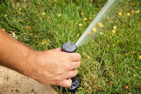 Adjust sprinkler heads throughout the seasons to ensure the ultimate efficiency! | Irrigation ...