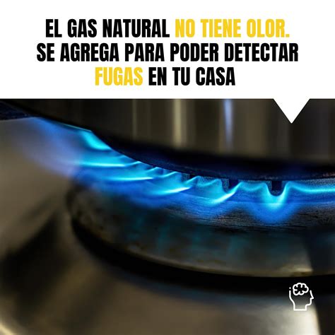 Moler comprar martillo el gas natural huele este Persona con experiencia tono