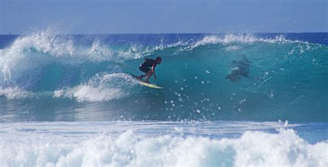 Surfing In Playa De Las Americas Stock Photo - Download Image Now - iStock