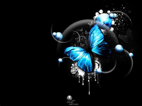 Cute 3D Butterfly Desktop Wallpapers - WallpaperSafari