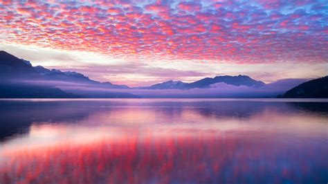 Pink Waves Nature Landscape 5k, HD Nature, 4k Wallpapers, Images ...