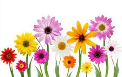 Free may flowers clipart – Clipartix