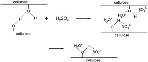 Frontiers | Two-Step Thermochemical Cellulose Hydrolysis With Partial Neutralization for Glucose ...