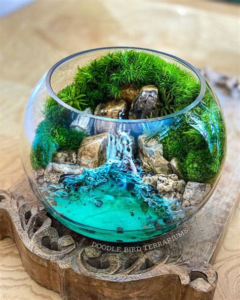 Aquamarine Ocean Cove Waterfall Terrarium With Jungle Green Live Moss 2 Large Sizes - Etsy ...