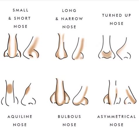 How To Contour Different Nose Shapes - Exactly How To Contour Every ...