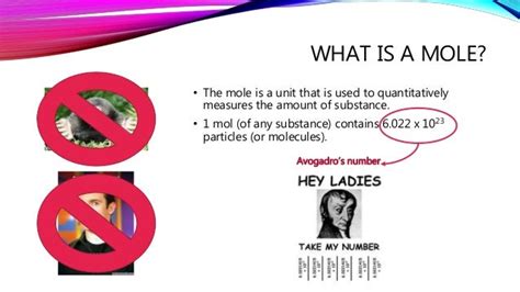 The mole (chemistry)