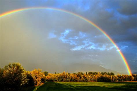 Counterlight's Peculiars: "Up On Top of a Rainbow, Sweeping the Clouds Away," Happy Gay Day ...