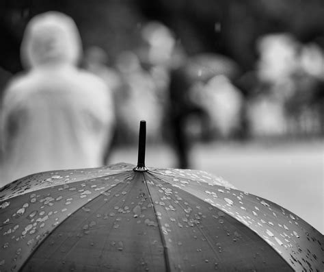 Le parapluie sous la pluie | The umbrella in the rain anthon… | Flickr