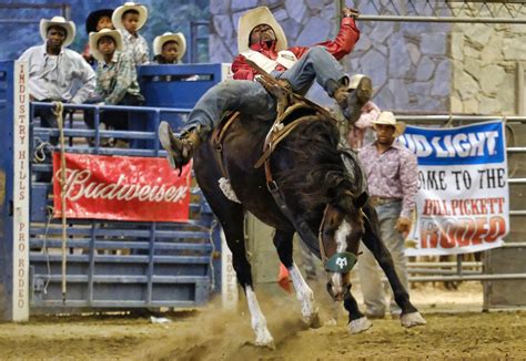 Urban Cowboys Raise Horses in Compton - ABC News