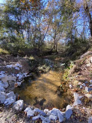 Best Hikes and Trails in Bogue Chitto State Park | AllTrails