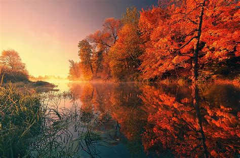 Fall Nature Wallpapers