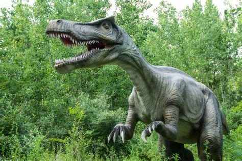 %Baryonyx Facts: 8 Most Curious Questions You Will Love%