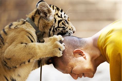 Incredible Friendship Between Humans & Animals - In Pics - News18