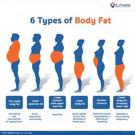 6 Types of Body Fat - Vejthani Hospital