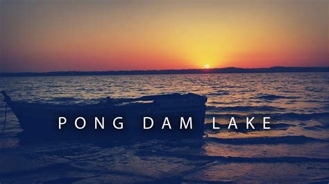 Experience the expanse of Pong Dam Lake Wildlife Sanctuary - YouTube