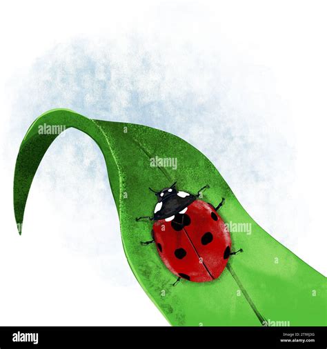 Cute little ladybug walking on a leaf illustration Stock Photo - Alamy