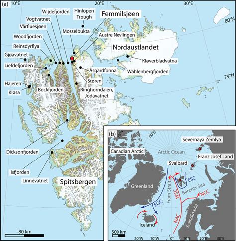 Húmedo Caña Descuidado svalbard mapa estaño Escritura voltaje