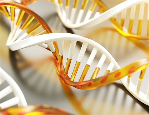 What is Epigenetic Methylation Testing? | AgelessRx