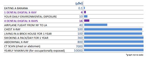 Radiation exposure x ray - rytecr