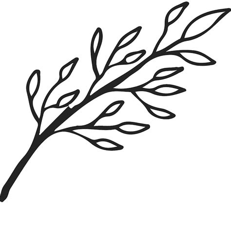 Branch Outline Svg