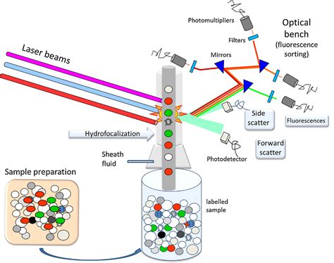 Flow Cytometry Figure