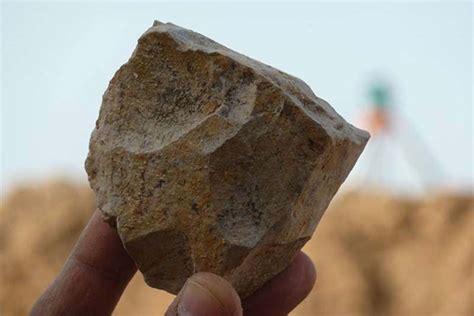 Stone Tools Found in Algeria Provide Evidence Human Origins Were Spread Throughout Africa ...